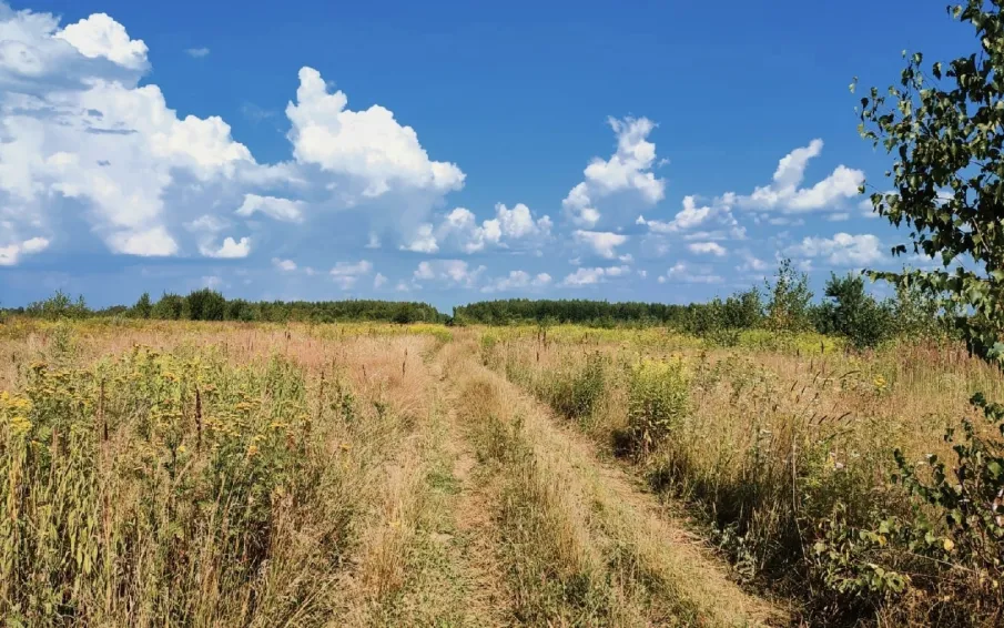 Внимание! Высокая пожароопасность!